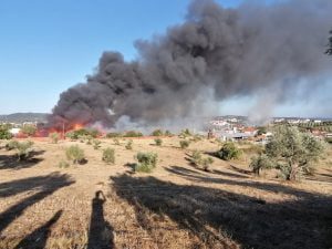 Incêndio de grandes dimensões destrói fábrica de paletes IMG 20210816 184948