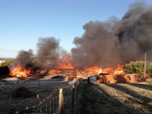 Incêndio de grandes dimensões destrói fábrica de paletes IMG 20210816 192306