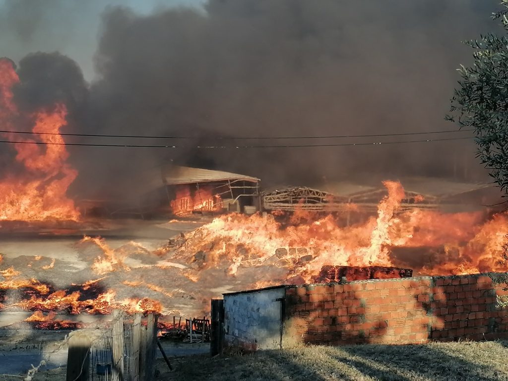 Incêndio de grandes dimensões destrói fábrica de paletes IMG 20210816 192435