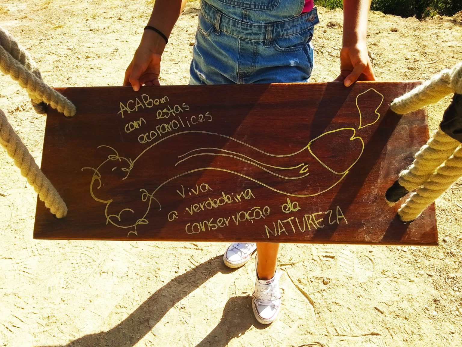 Baloiço da mata vandalizado baloico 794572 5048041986371632111 n