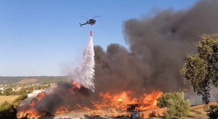 Mais fotos e vídeos do grande incêndio na fábrica de paletes inc 07 3546385431970466189 n