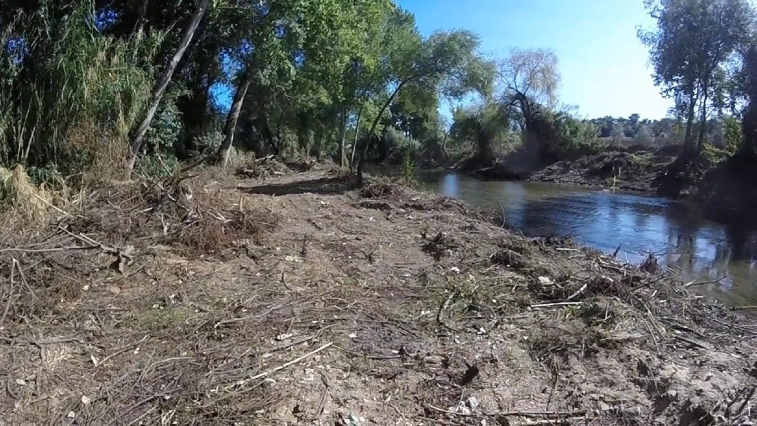 Destruição das margens do Rio Nabão (c/ vídeos) arvores margem rio