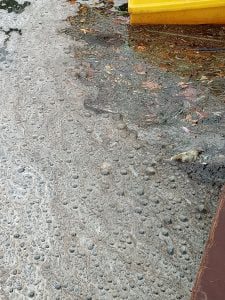 Mais uma descarga poluente no rio Nabão (c/ fotos e vídeo) poluicao rio 133 1204575871285214038 n