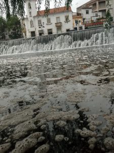 Mais uma descarga poluente no rio Nabão (c/ fotos e vídeo) poluicao rio 6576497 2175714042318801528 n
