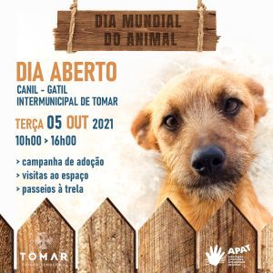 Agenda para o fim de semana 5 10 4 3724745061433976786 n