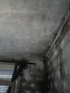 Família espera há três anos por obras da câmara bairro 726358551 1074433062311732213 n
