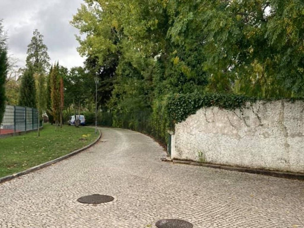 Arrancaram polémico sinal de trânsito junto ao estádio estac 2515 1767663053115950369 n