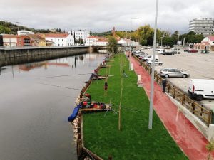 arranjo margem rio Nabao IMG 20211101 113715