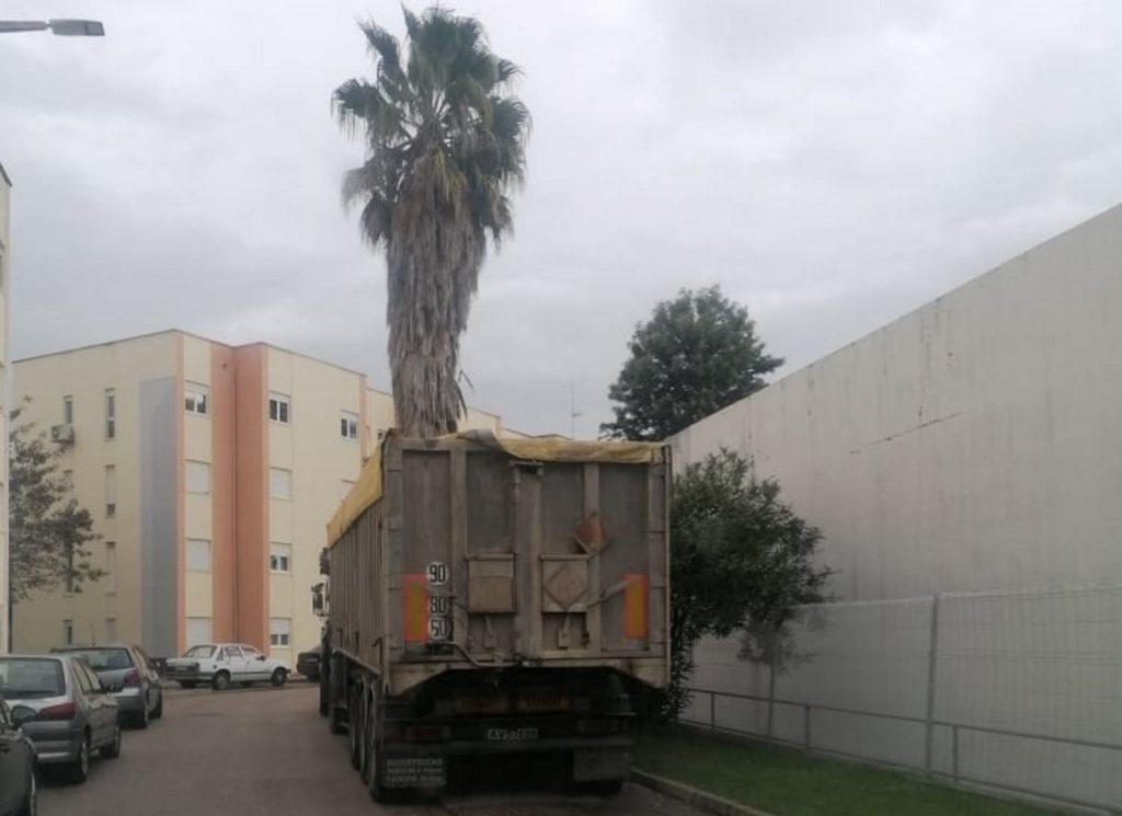 Perigo à porta de casa (atualização)* nabancia 0308 2561583730105889142 n