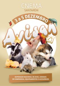 Agenda para o fim de semana 3 12 181167 1149226434702149598 n
