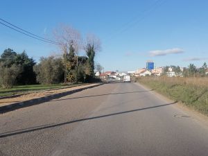 Estrada que liga Entroncamento a Torres Novas está a ser arranjada EN3 estrada entroncamento torres novas IMG 20211206 092450