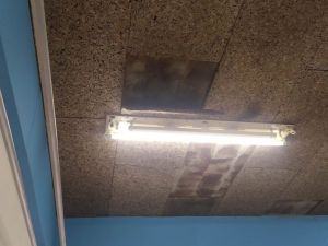 Escola Gualdim Pais com placas de isolamento a cair IMG 20211215 WA0001