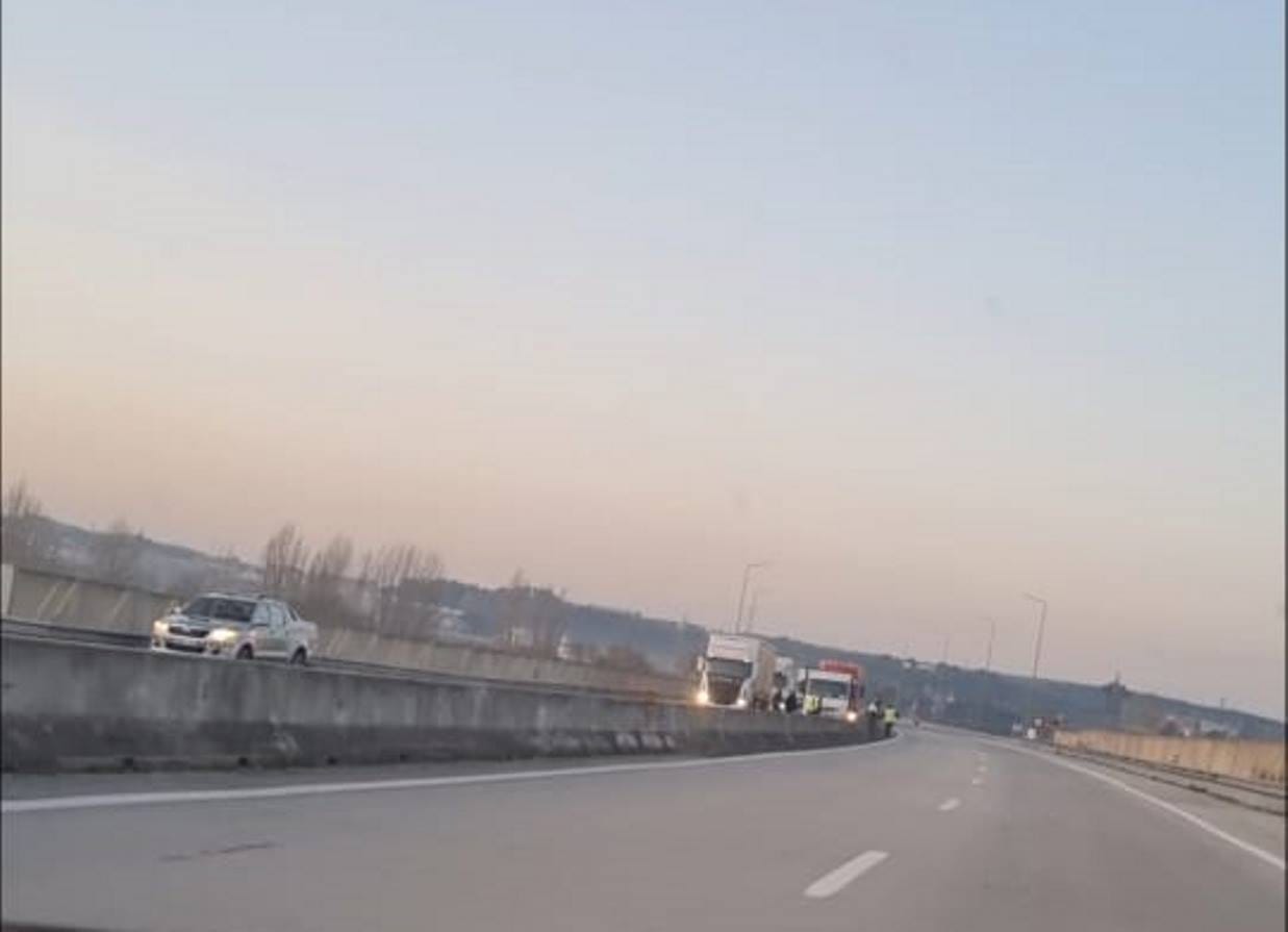 Porco na estrada faz parar o trânsito na A13 (c/ fotos) A13 porco 853 1884899358190287556 n