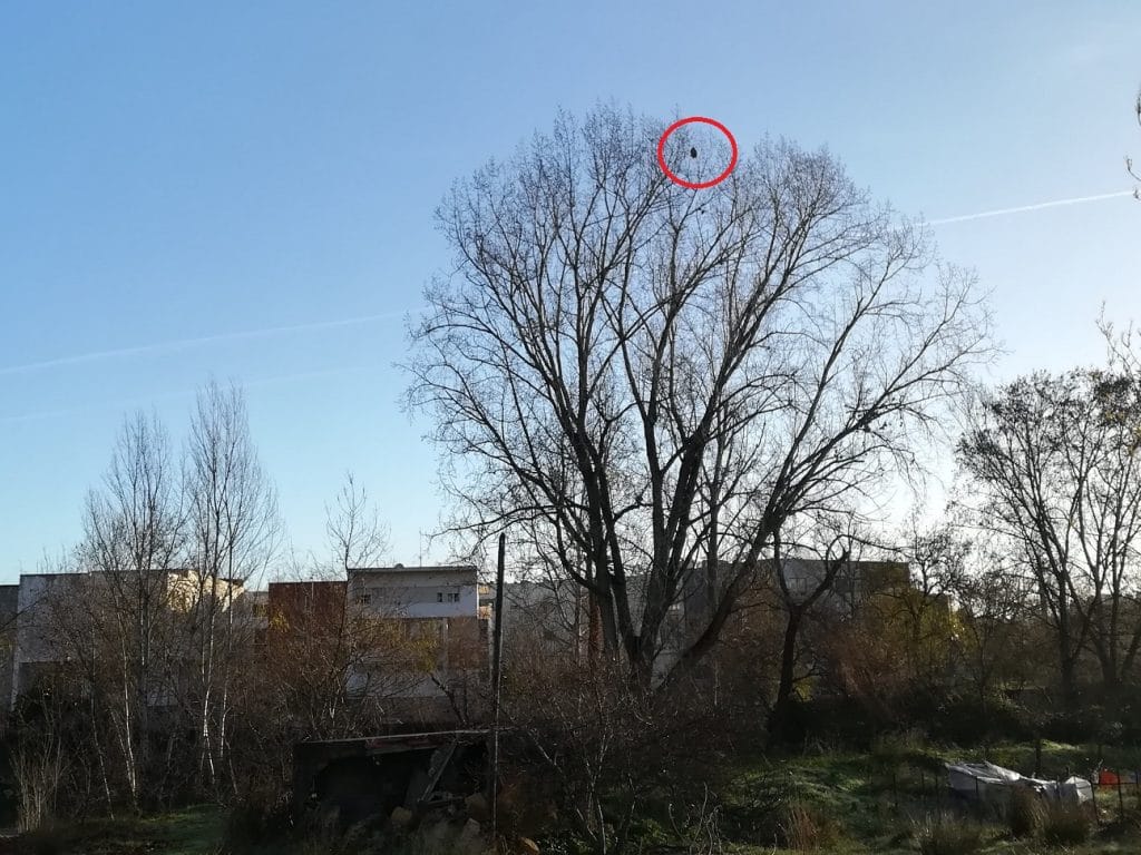 IMG 20220106 090134