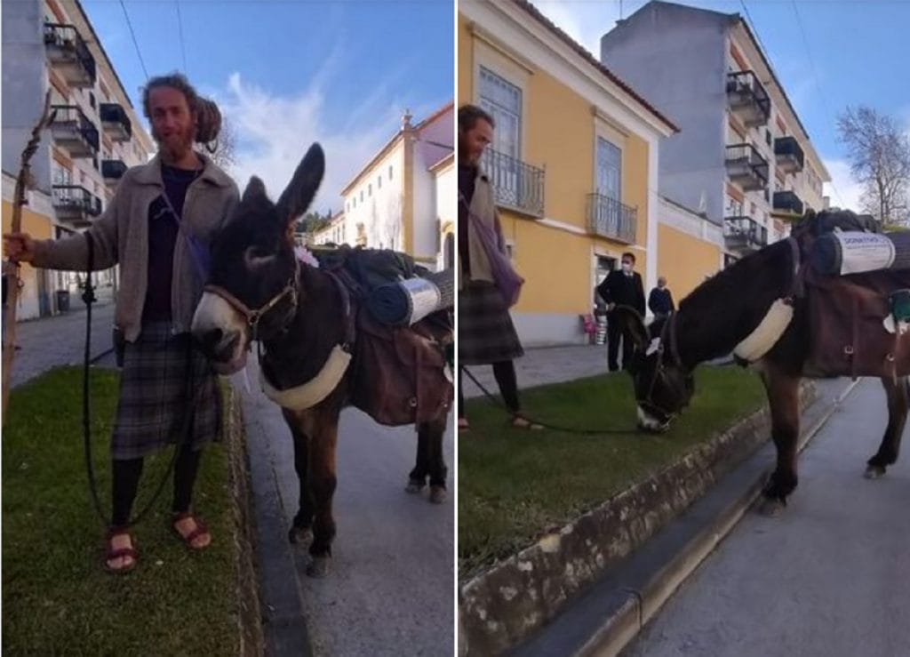 Peregrino com burro passou por Tomar a caminho de Jerusalém burro peregrino
