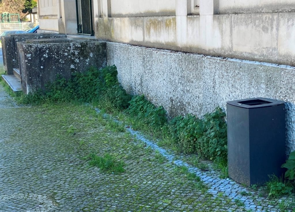 ervas IMG 1138