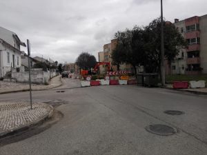 Árvores cortadas “à porrada” estrada da serra 263 4277911620131904273 n