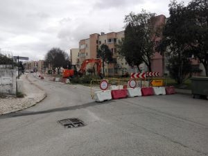 Árvores cortadas “à porrada” estrada da serra 673217753 3727071913750979744 n