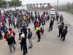 Mais de 250 a caminhar pelos trilhos de Olalhas (c/ fotos e vídeo) olalhas caminhada IMG 20220213 093821