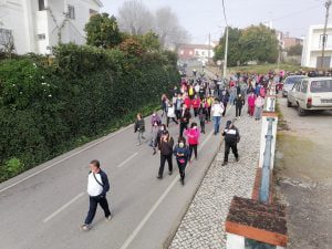 Mais de 250 a caminhar pelos trilhos de Olalhas (c/ fotos e vídeo) olalhas caminhada IMG 20220213 094258