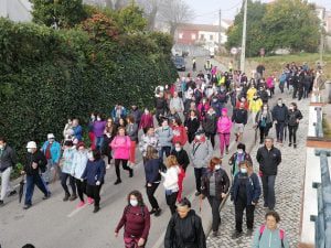 Mais de 250 a caminhar pelos trilhos de Olalhas (c/ fotos e vídeo) olalhas caminhada IMG 20220213 094317