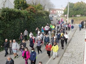 Mais de 250 a caminhar pelos trilhos de Olalhas (c/ fotos e vídeo) olalhas caminhada IMG 20220213 094325