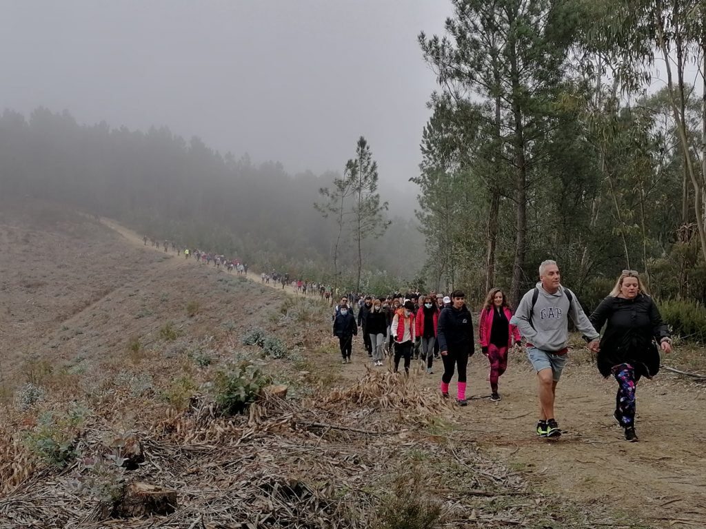 Mais de 250 a caminhar pelos trilhos de Olalhas (c/ fotos e vídeo) olalhas caminhada IMG 20220213 100355
