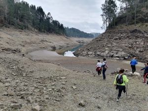 Mais de 250 a caminhar pelos trilhos de Olalhas (c/ fotos e vídeo) olalhas caminhada IMG 20220213 105201
