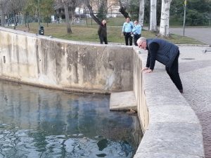 Descarga poluente no rio Nabão em plena cidade poluicao rio nabao IMG 20220207 172457