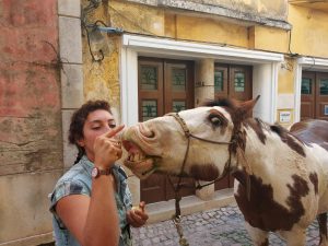 Égua de Laurene Guillot aparece morta por disparo de arma de fogo cavalo 62888633 8062742000338834195 n