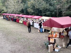 Feira do Bem-Estar este fim de semana na Mata dos Sete Montes (c/ fotos e vídeos) feira wellness Mata IMG 20220326 154416