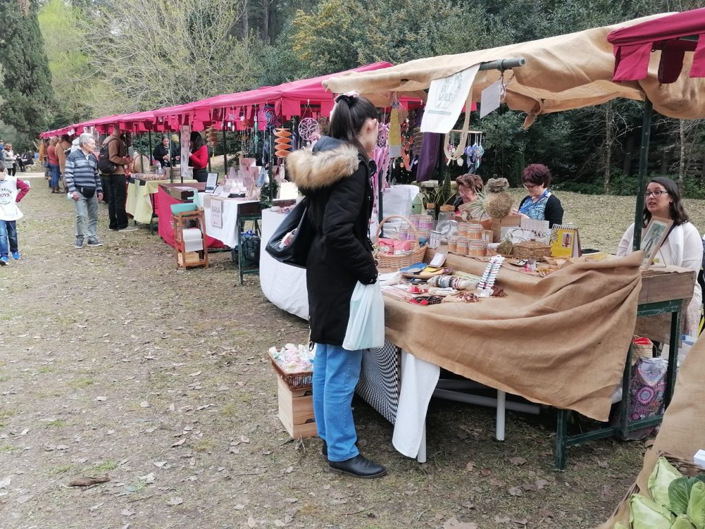 Câmara dá subsídio de 15 mil euros para “evento de bem-estar” feira wellness Mata IMG 20220326 154549