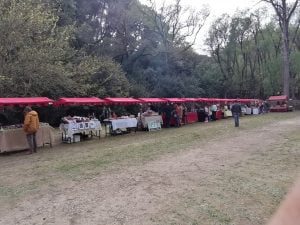 Feira do Bem-Estar este fim de semana na Mata dos Sete Montes (c/ fotos e vídeos) feira wellness Mata IMG 20220326 155044