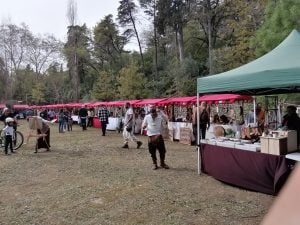 Feira do Bem-Estar este fim de semana na Mata dos Sete Montes (c/ fotos e vídeos) feira wellness Mata IMG 20220326 155056
