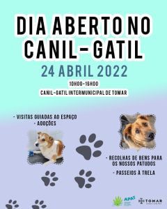 Agenda para o fim de semana prolongado 24 4 80655 2029276689541914091 n