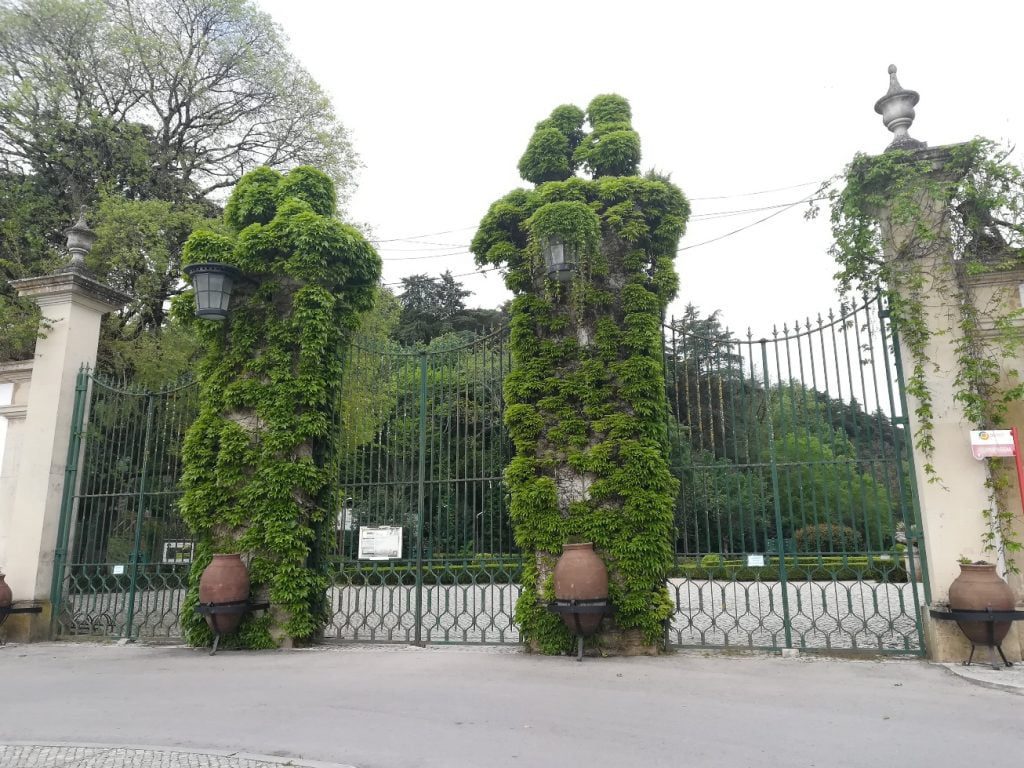 Câmara contrata empresa para cuidar da Mata dos Sete Montes mata IMG 20220417 093156