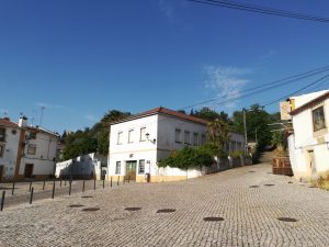 Falta de limpeza de terrenos na encosta do castelo lar s. jose cast IMG 20220514 083705
