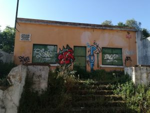 Falta de limpeza de terrenos na encosta do castelo lar s. jose cast IMG 20220514 083746