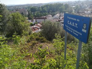 Falta de limpeza de terrenos na encosta do castelo lar s. jose cast IMG 20220514 084015