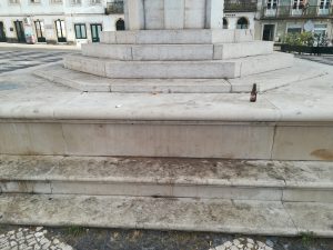 “Uma nojeira” aos pés de Gualdim Pais suj IMG 20220514 075950