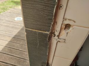 Entroncamento: assaltos, vandalismo e crueldade no parque do Bonito 289083860 536243478203877 7274102982004049237 n