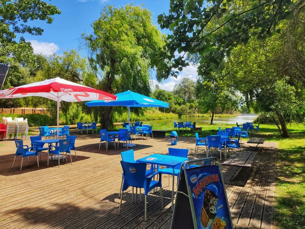Entroncamento: assaltos, vandalismo e crueldade no parque do Bonito bonito cais 49430265 1607676581943099030 n