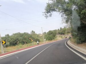 Estrada que liga Entroncamento a Torres Novas já arranjada (c/ fotos) estrada torres novas entroncamento IMG 20220617 184602