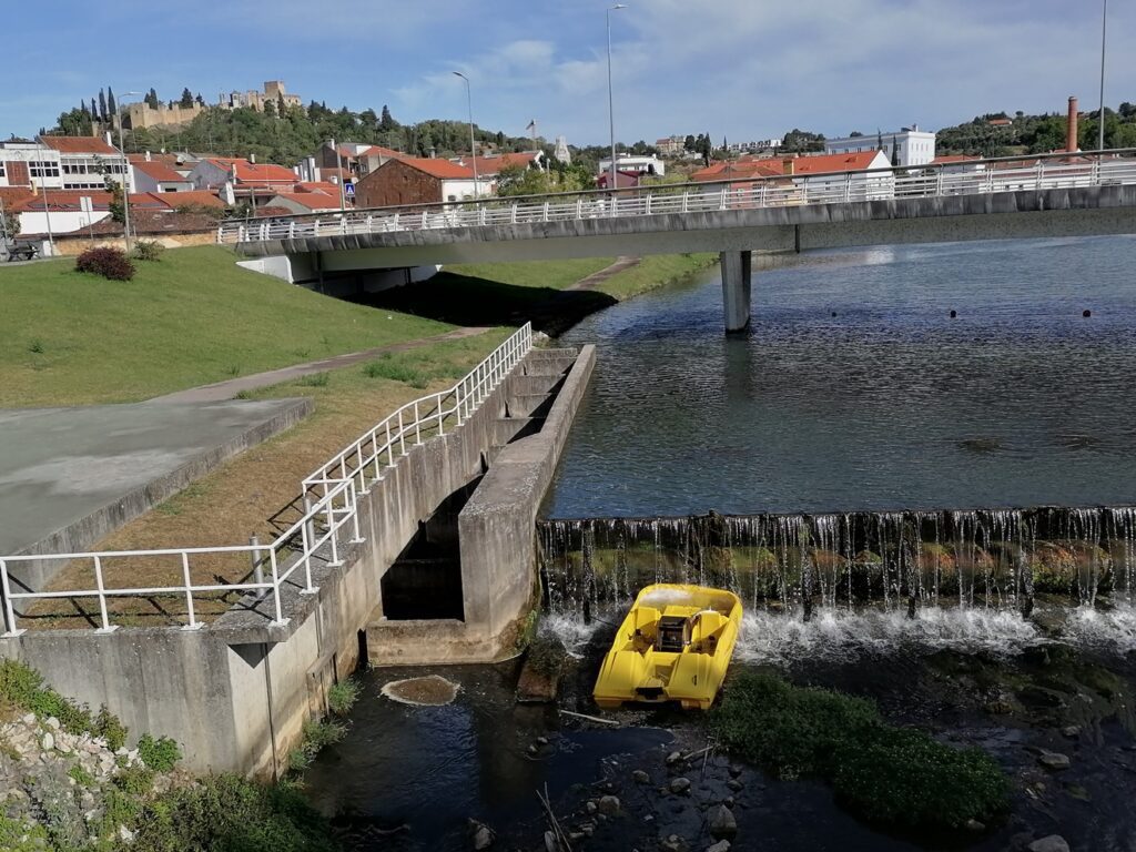 Gaivota caída no açude do Flecheiro (c/ vídeo) gaivota rio IMG 20220630 091045