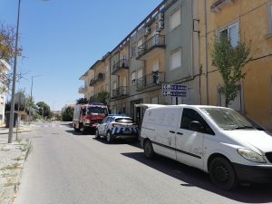 Gatos resgatados em apartamento sem moradores (c/ fotos e vídeo) IMG 20220725 142817