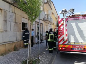 Gatos resgatados em apartamento sem moradores (c/ fotos e vídeo) IMG 20220725 142842