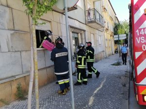 Gatos resgatados em apartamento sem moradores (c/ fotos e vídeo) IMG 20220725 143131