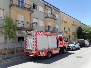 Gatos resgatados em apartamento sem moradores (c/ fotos e vídeo) IMG 20220725 143912
