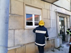 Gatos resgatados em apartamento sem moradores (c/ fotos e vídeo) IMG 20220725 144451