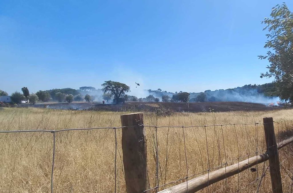 Incêndio no Casal do Pote mobiliza dezenas de bombeiros (c/ vídeo) incend 5282 4040928297537750246 n